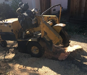 Tree Removal & Trimming Walnut Creek CA