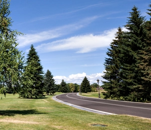 Tree Removal & Trimming Walnut Creek CA