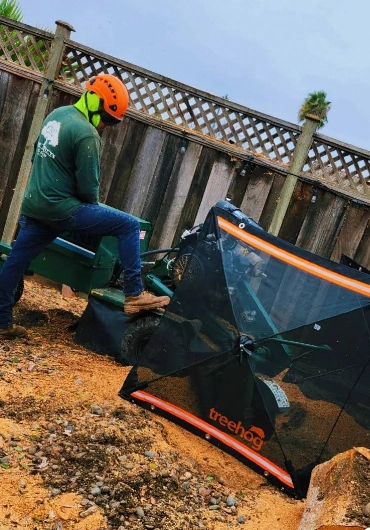 Tree Service San Ramon