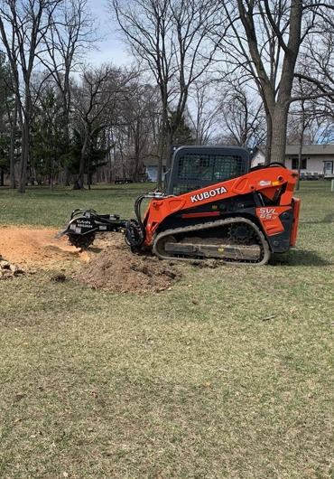 Tree Service Concord