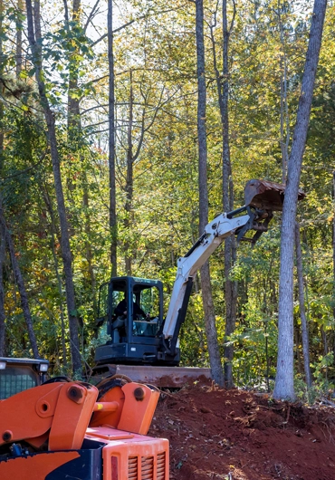 Tree Service San Ramon