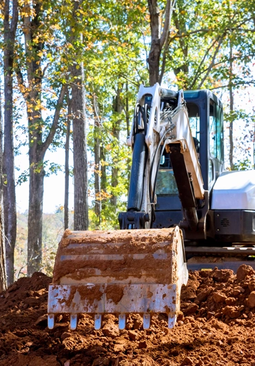 Tree Service Concord