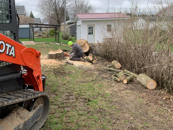 Tree Service Oakland