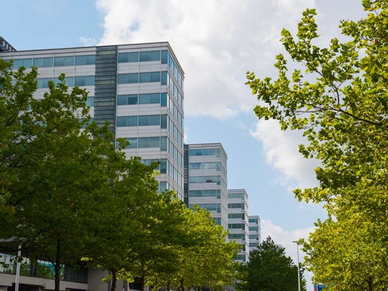 Residential and Commercial Tree Services in Walnut Creek