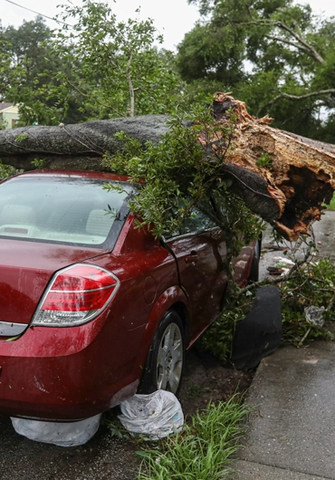 Emergency Services in Walnut Creek