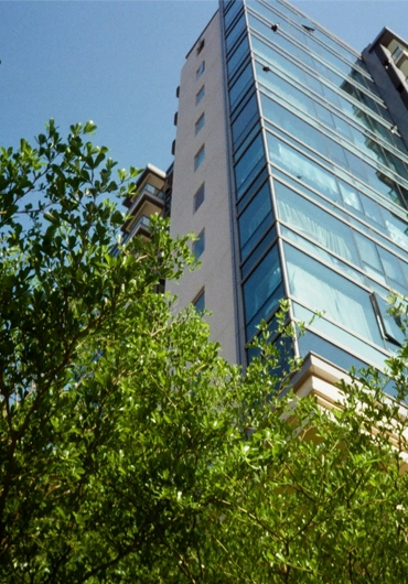 Residential and Commercial Tree Services in Walnut Creek