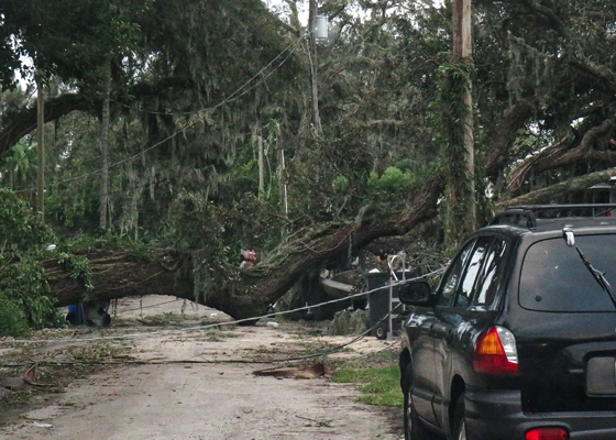 Emergency Services in Walnut Creek