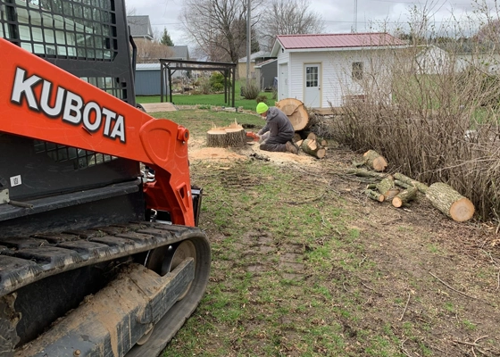Stump Grinding