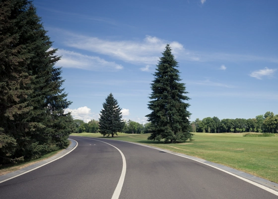 Spring & Fall Yard Cleanups in Walnut Creek